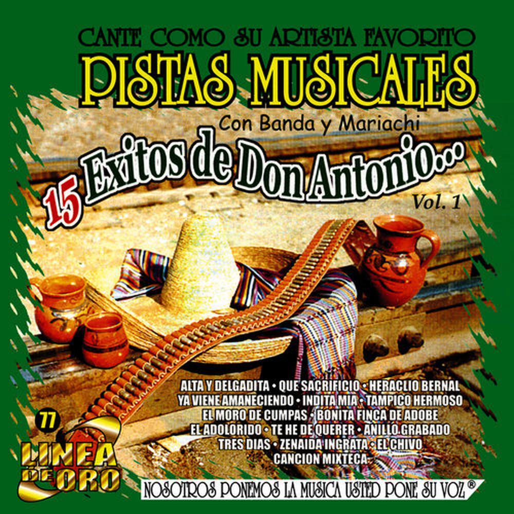 Canción Mixteca