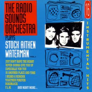 ดาวน์โหลดและฟังเพลง Never Gonna Give You Up พร้อมเนื้อเพลงจาก The Radio Sounds Orchestra