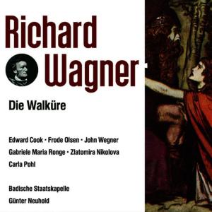 ดาวน์โหลดและฟังเพลง Die Walküre-1 Aufzug: Vorspiel/Prelude พร้อมเนื้อเพลงจาก Gunter Neuhold