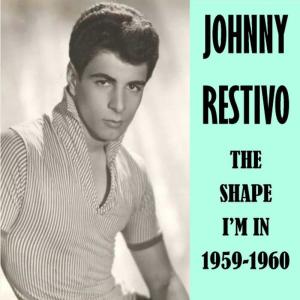 ดาวน์โหลดและฟังเพลง I Like Girls พร้อมเนื้อเพลงจาก Johnny Restivo
