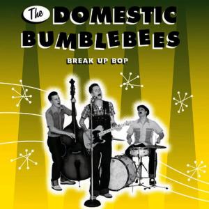收聽The Domestic Bumblebees的My Girl Can't Quit Pickin'歌詞歌曲