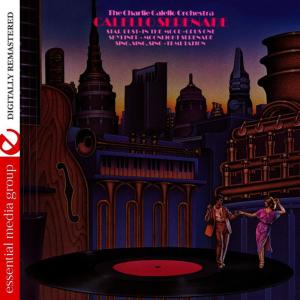 ดาวน์โหลดและฟังเพลง Moonlight Serenade พร้อมเนื้อเพลงจาก The Charlie Calello Orchestra