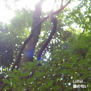 ดาวน์โหลดและฟังเพลง Ao No Nioi พร้อมเนื้อเพลงจาก Loffel
