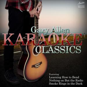 收聽Ameritz Karaoke Tracks的The One (In the Style of Gary Allan) (Karaoke Version)歌詞歌曲