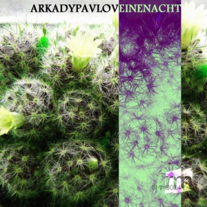 ดาวน์โหลดและฟังเพลง Eine Nacht พร้อมเนื้อเพลงจาก Arkady Pavlov