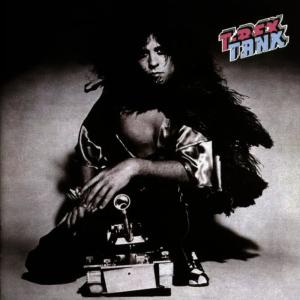 ดาวน์โหลดและฟังเพลง Mister Mister (BONUS ACOUSTIC AND BASS DEMOS) พร้อมเนื้อเพลงจาก T. Rex