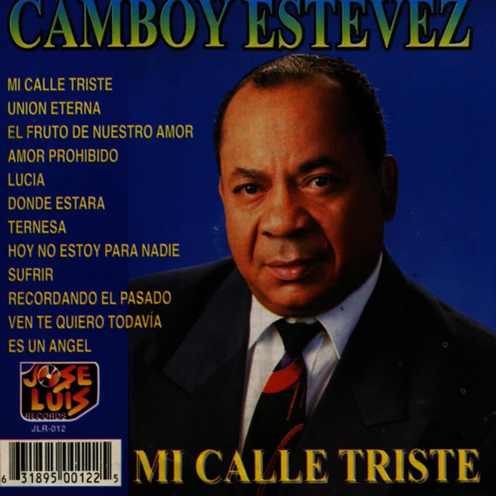 Termesa
