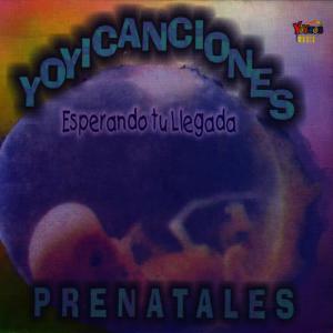 Batido House Kids的專輯Yoyicanciones Prenatales - Esperando Tu Llegada