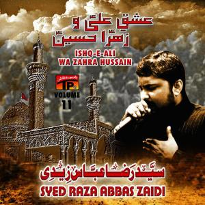 ดาวน์โหลดและฟังเพลง Khat E Sugra พร้อมเนื้อเพลงจาก Syed Raza Abbas Zaidi