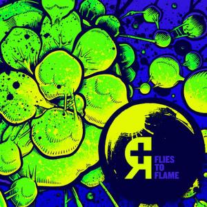 收聽Rosetta的Soot歌詞歌曲