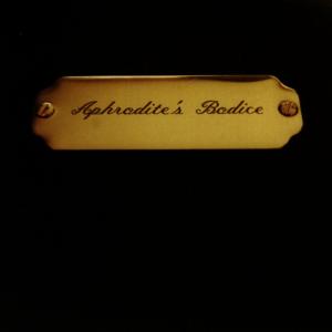 ดาวน์โหลดและฟังเพลง Colour Of My Life พร้อมเนื้อเพลงจาก Aphrodite's Bodice
