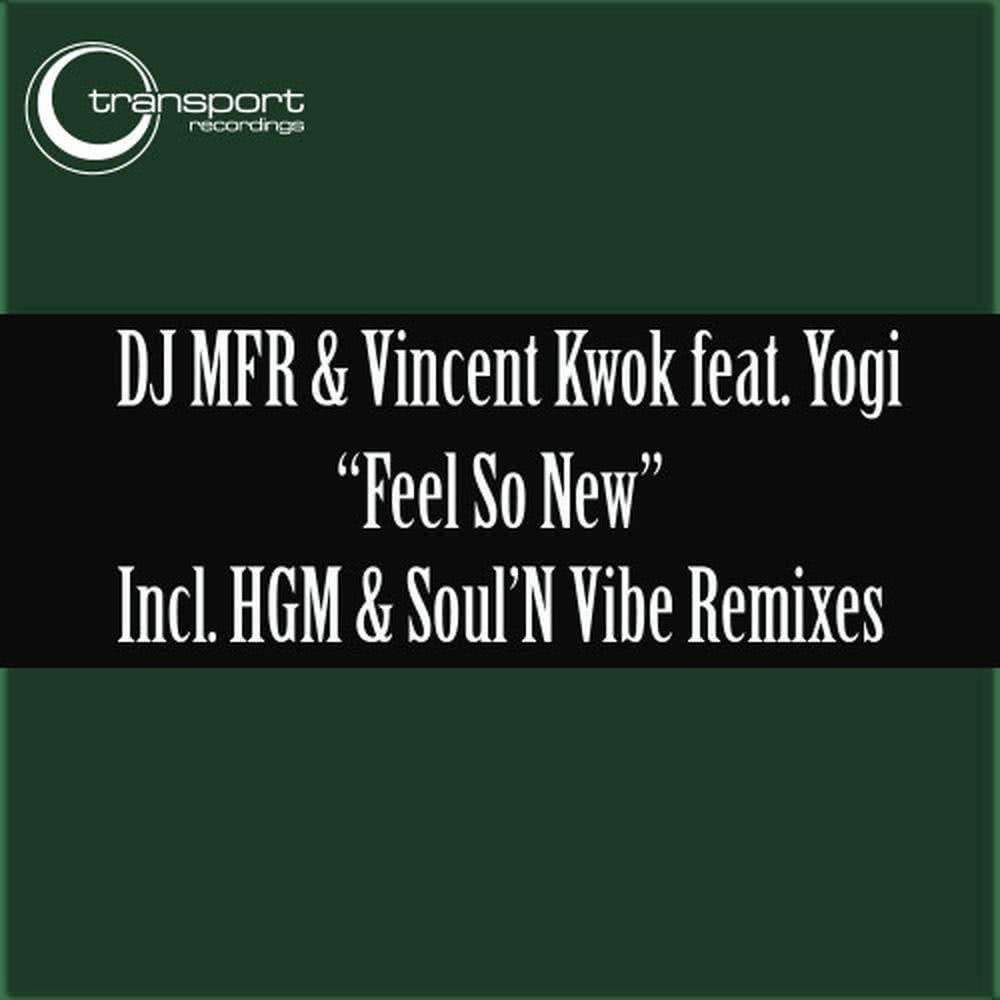 Feels so New (Hard Groove Maschine &amp; Soul'nvibe Instrumental Mix)