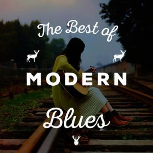 ดาวน์โหลดและฟังเพลง I Sho Do พร้อมเนื้อเพลงจาก Blues