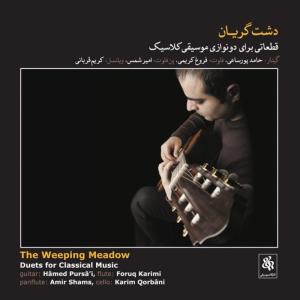 ดาวน์โหลดและฟังเพลง Andante พร้อมเนื้อเพลงจาก Hamed Poursai