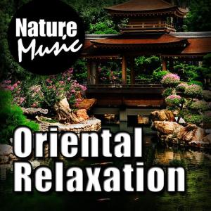ดาวน์โหลดและฟังเพลง Walk Among the Bamboo to Relax the Mind and Balance Qi พร้อมเนื้อเพลงจาก Nature Music
