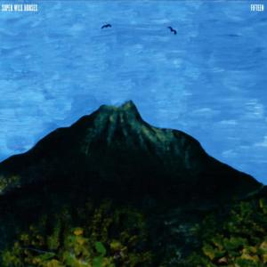 ดาวน์โหลดและฟังเพลง Fifteen พร้อมเนื้อเพลงจาก Super Wild Horses