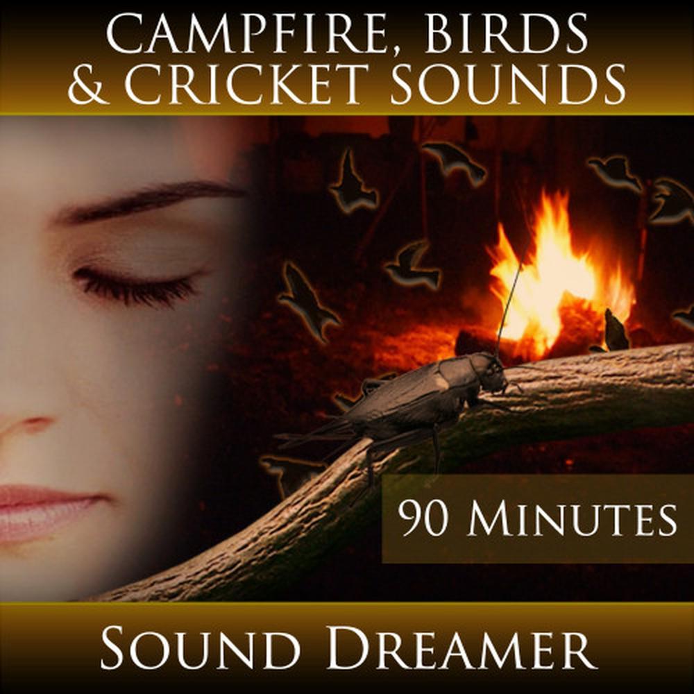 Campfire, Birds and Cricket Sounds - 90 Minutes