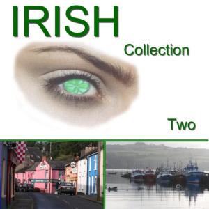 收聽Mac's Irish Players的Irish歌詞歌曲
