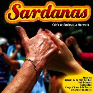 收聽Cobla de Sardanes la Moreneta的Angelina歌詞歌曲