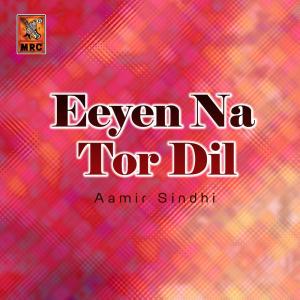 收聽Aamir Sindhi的Mithe Noor Jo Qasam歌詞歌曲