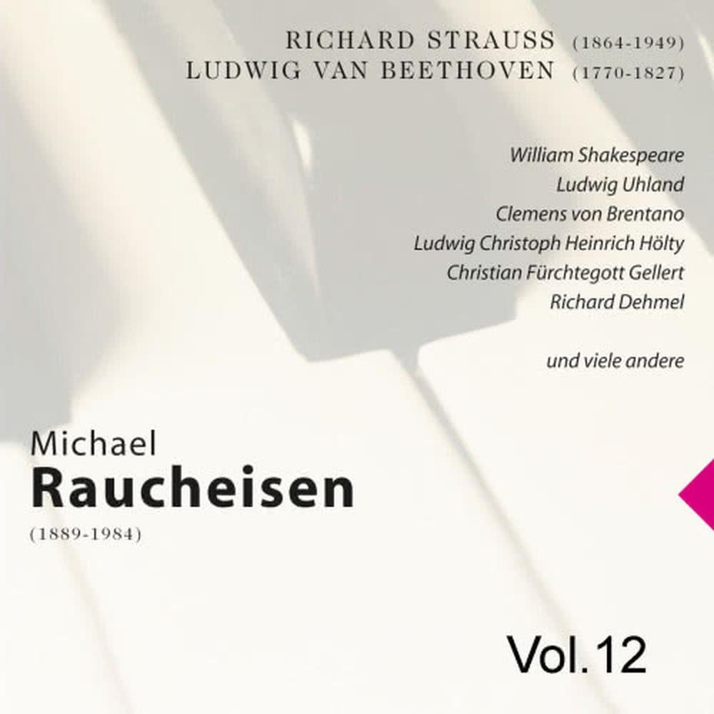 Michael Raucheisen Vol. 12