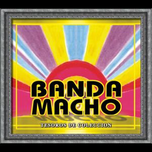 收聽Banda Macho的Express (Express)歌詞歌曲