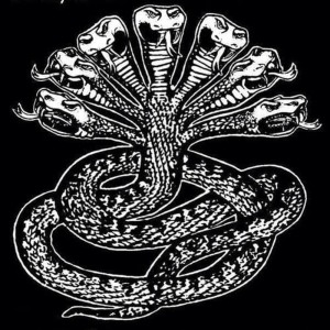 收聽Fantasy Panther的Contort歌詞歌曲