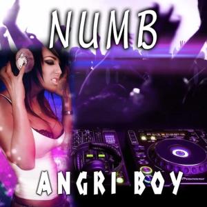 ดาวน์โหลดและฟังเพลง Numb พร้อมเนื้อเพลงจาก Angri Boy