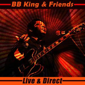 ดาวน์โหลดและฟังเพลง Medley: Somebody Really Loves You: I Think You're Cheating on Me Baby พร้อมเนื้อเพลงจาก B.B.King