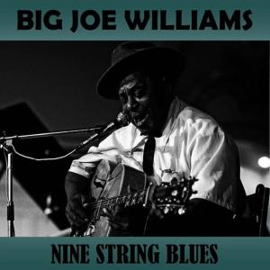 收聽Big Joe Williams的Jump Baby, Jump歌詞歌曲