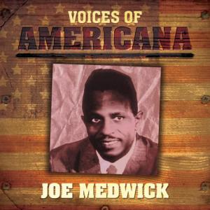ดาวน์โหลดและฟังเพลง Why Did You Let Me พร้อมเนื้อเพลงจาก Joe Medwick