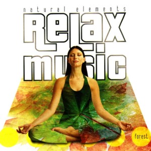 收聽Relax Music的Los Sueños de Paty歌詞歌曲