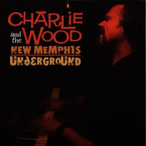 ดาวน์โหลดและฟังเพลง Too Much is Not Enough พร้อมเนื้อเพลงจาก Charlie Wood
