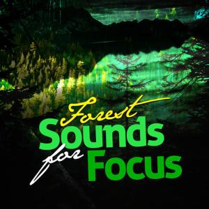 ดาวน์โหลดและฟังเพลง Bird Life Behind the Barn พร้อมเนื้อเพลงจาก Natural Forest Sounds