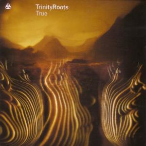 收聽TrinityRoots的True歌詞歌曲