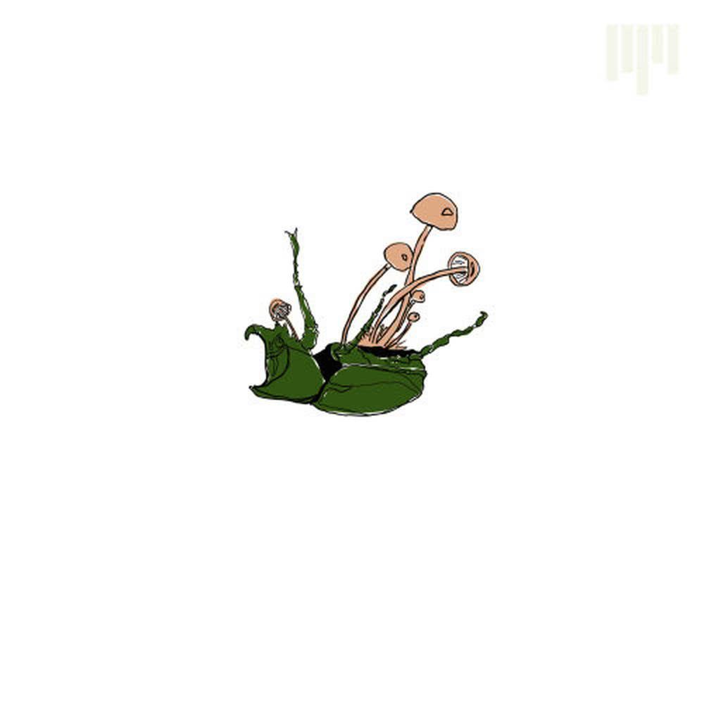 default album img
