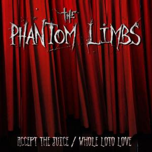 ดาวน์โหลดและฟังเพลง How Calm You Are (Live) พร้อมเนื้อเพลงจาก Phantom Limbs
