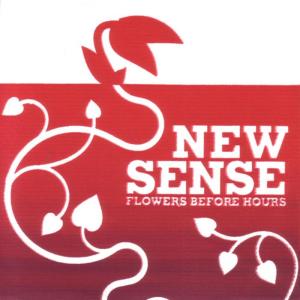 ดาวน์โหลดและฟังเพลง It's Possible พร้อมเนื้อเพลงจาก New Sense