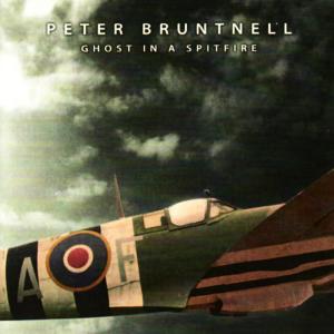 ดาวน์โหลดและฟังเพลง Orange Moon พร้อมเนื้อเพลงจาก Peter Bruntnell