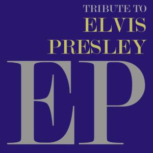 ดาวน์โหลดและฟังเพลง Can't Help Falling in Love พร้อมเนื้อเพลงจาก Bobby Stevens