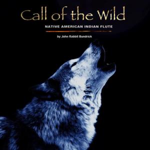 ดาวน์โหลดและฟังเพลง Feather พร้อมเนื้อเพลงจาก John Rabbit Bundrick