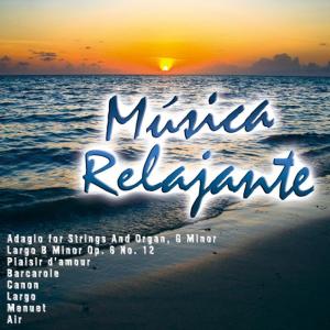 ดาวน์โหลดและฟังเพลง Miami Vice พร้อมเนื้อเพลงจาก Turbostyle