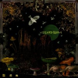 ดาวน์โหลดและฟังเพลง Mommy's Little Baby พร้อมเนื้อเพลงจาก Wizard Sleeve