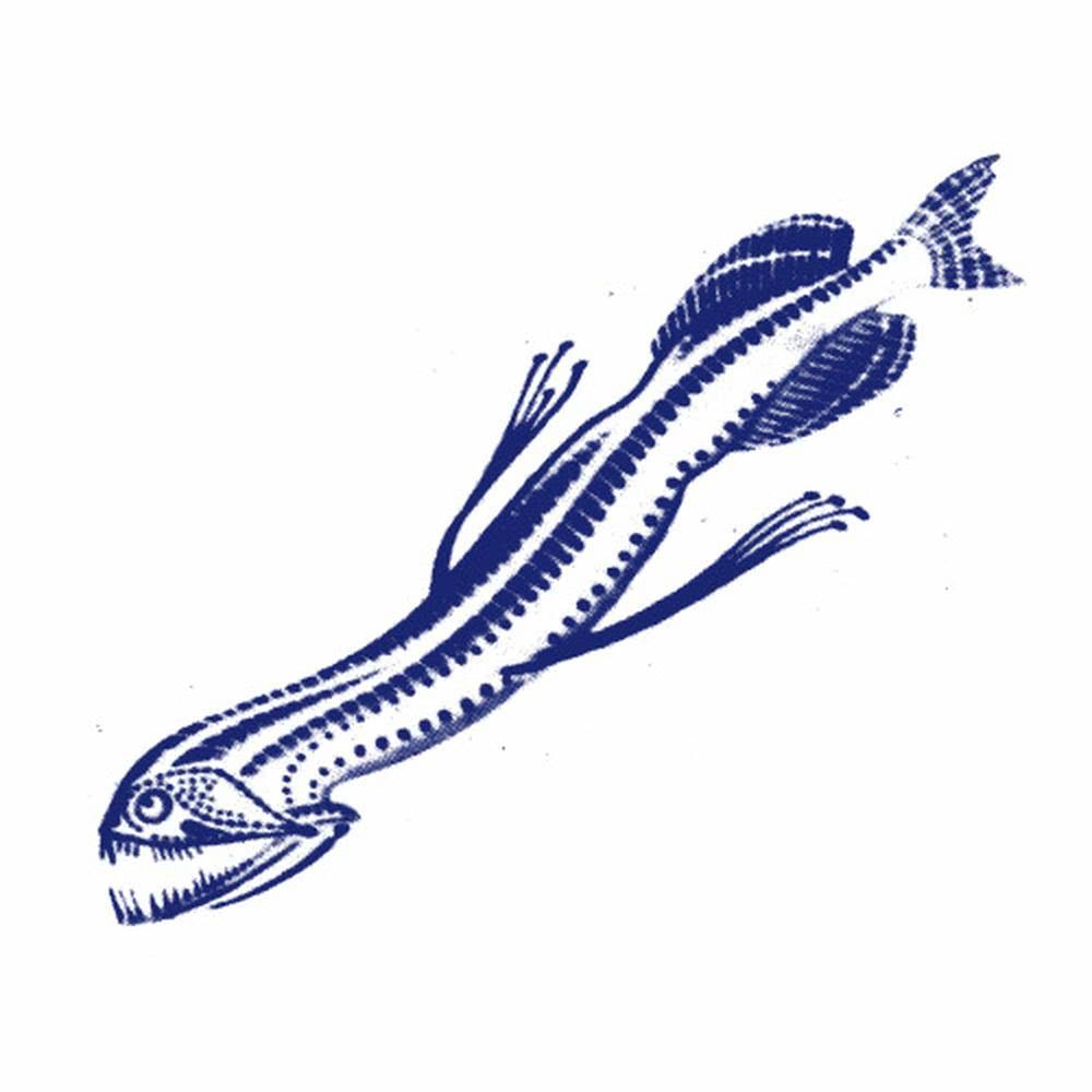 The Hydra
