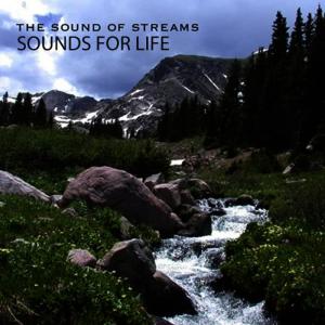 ดาวน์โหลดและฟังเพลง A Mountain Stream 1 พร้อมเนื้อเพลงจาก Sounds for Life