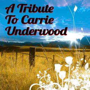 ดาวน์โหลดและฟังเพลง I'll Stand By You พร้อมเนื้อเพลงจาก Country Music Heroes