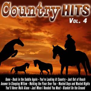 ดาวน์โหลดและฟังเพลง Just When I Needed You Most พร้อมเนื้อเพลงจาก Randy Vanwarmer