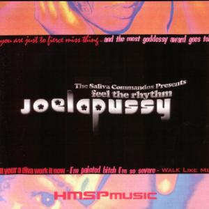 ดาวน์โหลดและฟังเพลง Feel The Rhythm (Livewater Tribal Runway Anthem) พร้อมเนื้อเพลงจาก Joelapussy