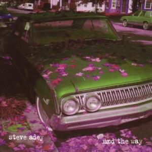 收聽Steve Adey的The Last Remark歌詞歌曲