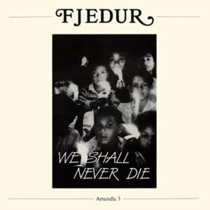 ดาวน์โหลดและฟังเพลง Asikhatali พร้อมเนื้อเพลงจาก Fjedur